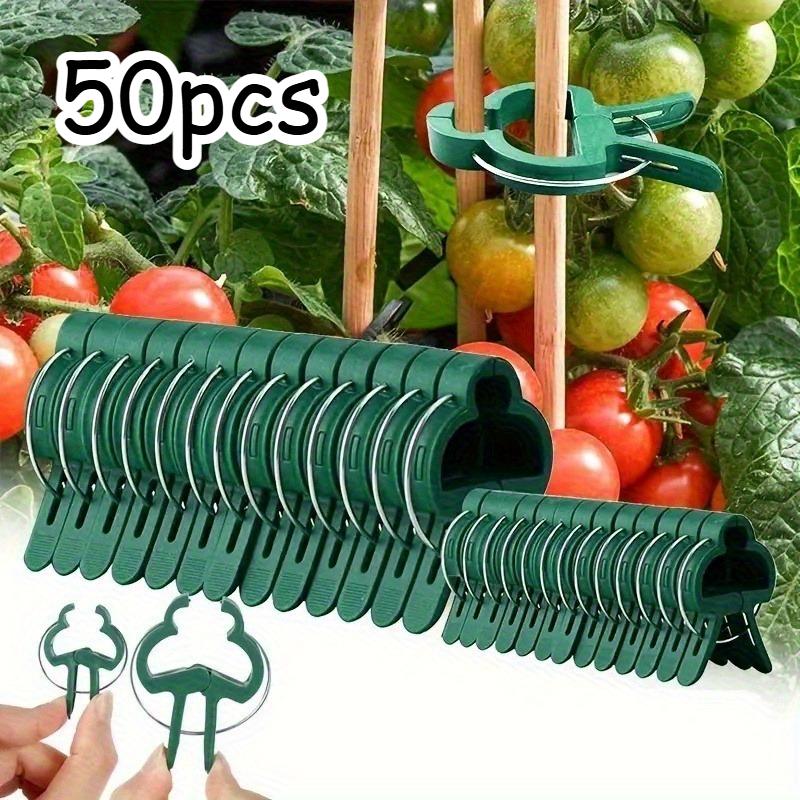 50 Stück Grüne Pflanzenstützclips, Tomaten-Gurken-Rankenclips, Kunststoff Gartenpflanzenbinder, Langlebige Pflanzenhalter für Zweige