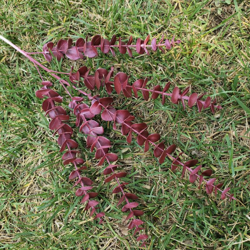 Succulents Eucalyptus Artificial Diy Floral Stems Wedding Home Decor Props Photo