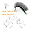 4d 5d Eylash W Extension 3d Russia Volume W Lash Fluffy Premade Fans Clover Mink Faux Cil Lashes Dolly Hybrid Eyelash 3d