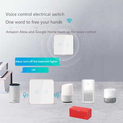 Matter EU Metal Frame Wi-Fi Smart Switch with Alexa & Google Voice Control