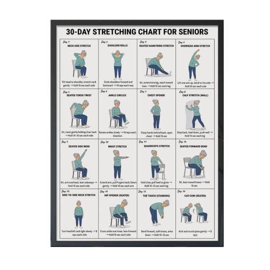Chair Exercise Poster Seated Workout Chart Gentle Chair Yoga Movements Low Impact Exercise Guide for Seniors Beginners