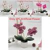 Artificial Phalaenopsis Flower Pot For Outdoor Garden Wedding Decor Photography Props And Home Decor