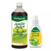 Baidyanath Ayurved Amla Juice 1L & Panch Tulsi 30 Ml Drop | Effective Antioxidants for Immunity Boosting | Suitable for Healthy Hair & Skin | No