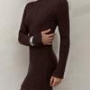 Women's Long-Sleeve Half-High Neck Elegant Playful A-Line Knit  Dress