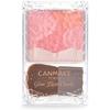 Mejillas Glow Fleur de Canmake 02 Apricot Fleur 6,3 g Artículo individual 02 Apricot Fleur