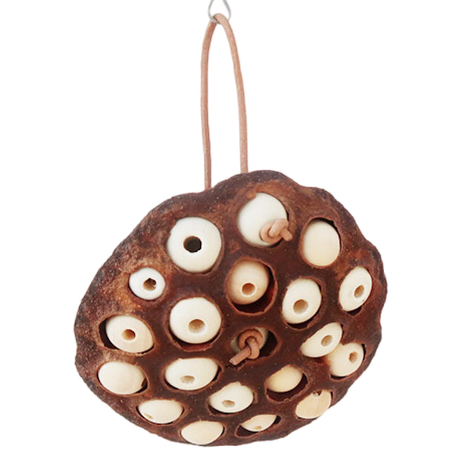 

Игрушка для птиц Попугай Жевательная игрушка Птичья клетка Разрывающаяся игрушка Все размеры Птичья клетка Nature Lotus Seedpod Птичья игрушка для попугаев Кореллы 1