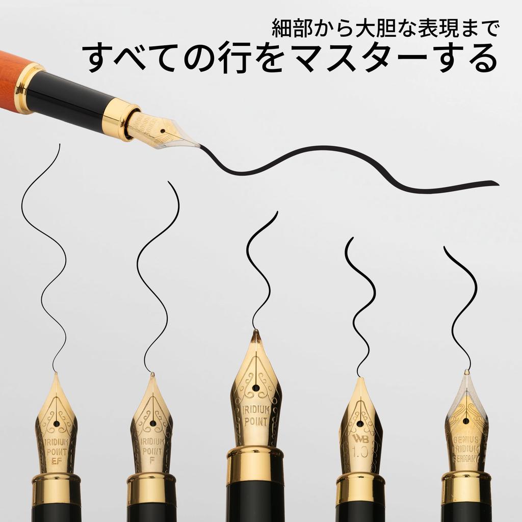 Wordsworth Black Fountain Pen Gift Ink 6 Ink Ink and 4 Replacement Premium Smooth Writing & Set, Bottle, Cartridges, Converter, Nibs, Bamboo,