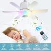 Ceiling Fans with Lights Remote Ceiling Fan RGB Dimmable Light Noiseless Black Modern Small Ceiling Fan for Bedroom Indoor 32W