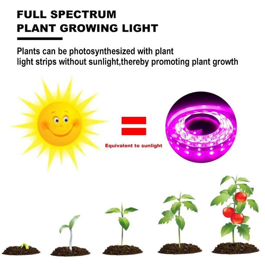 DC USB 5v Indoor Plant Grow Light Strip 1M 2M 3M Flower Seed Growth Lamp LED Full Spectrum Seedling Fito Lights USB Hydroponics