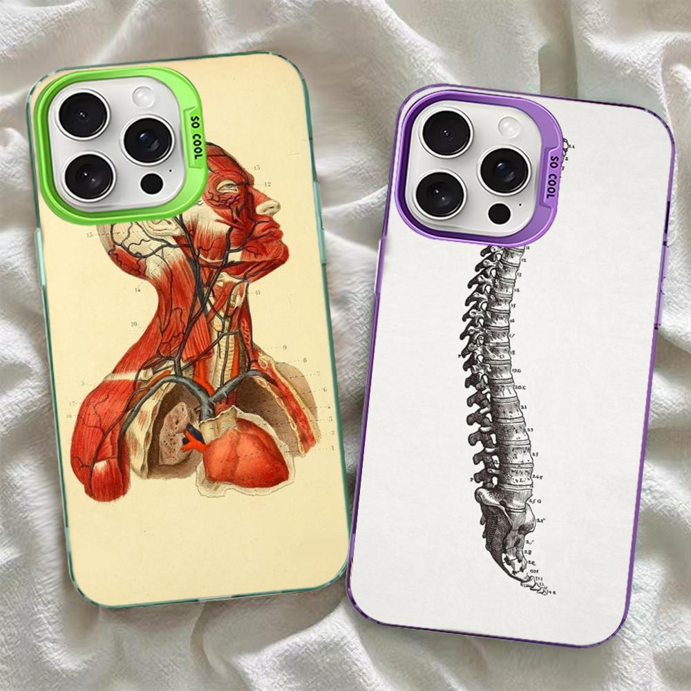 Medical Human Anatomy Phone Case For IPhone 16 15 14 13 12 11 Pro Max X XR XSMAX 8 7 Plus Matte Shockproof Back Cover