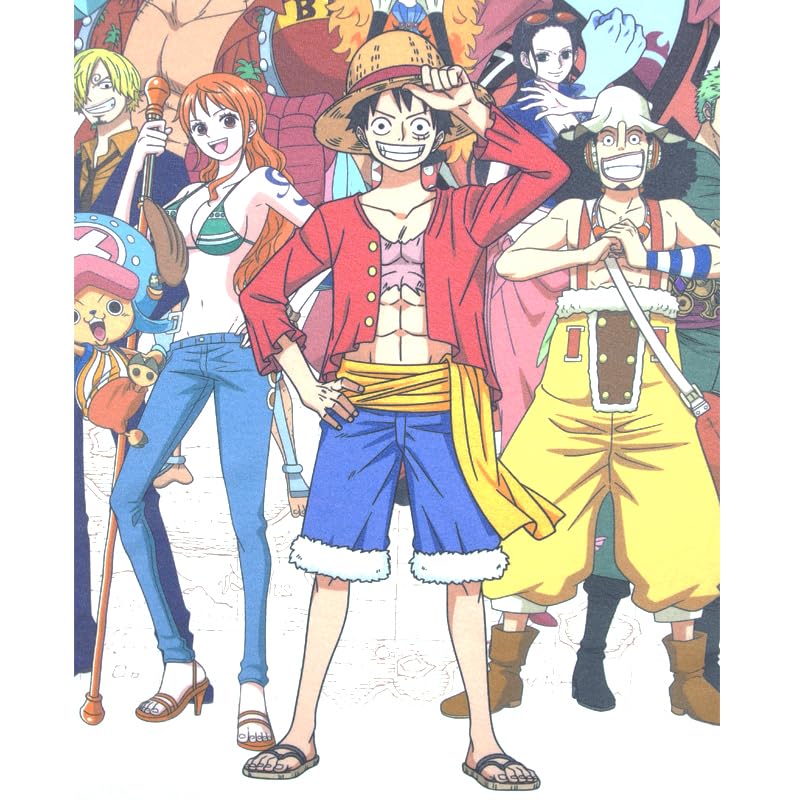 EVERSOUL ONE PIECE Short Sleeve Straw Hat Character Anime Movie XL Size T-Shirt, Pirates, Luffy, Chopper, Zoro, Nami, Sanji, Merchandise, Tee, Men's,