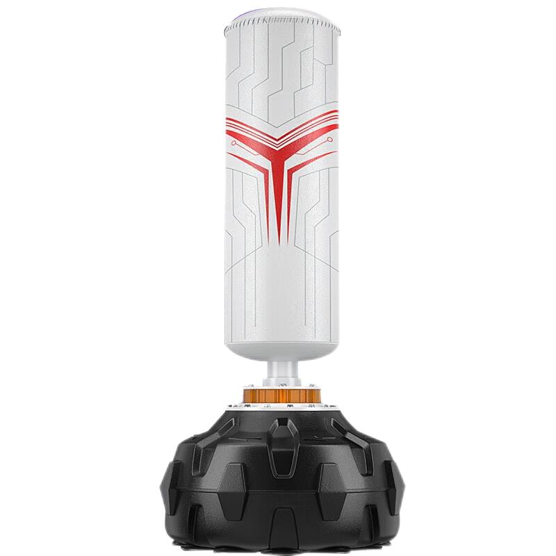 Freestanding Boxing Punch Bag