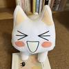 1Pc 45x30cm Kawaii Toro Cat Plush Toys Funny Cat Pillow Stuffed Soft Sofa Cushion Kids Birthday Gift