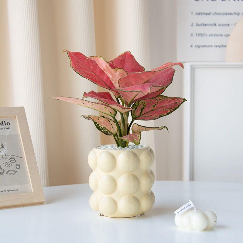 Скандинавский кремовый жемчужный керамический цветочный горшок для декора дома или офиса 9cm*10.5cm