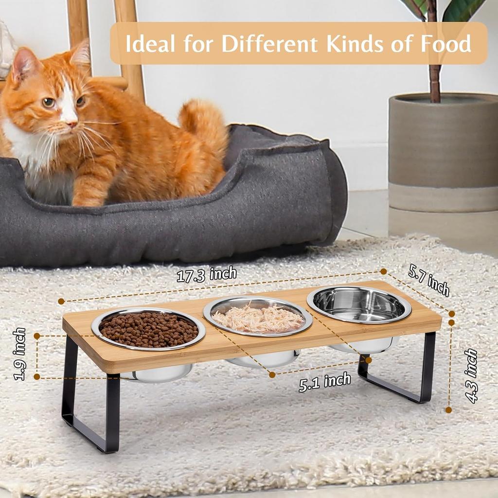 Elevated Cat Food Water Bowls, 6 Stainless Steel Bowls, 15° Tilted Raised Cat Bowl Set, for Indoor Cats for Small Cats