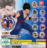 Dragon Ball Super Super Hero Acryl-Anhänger 2er-Set mit 10 Stück Gacha Gacha Kapselspielzeug [Vollständige Typen]