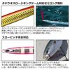 Daiwa Hairtail Kyoga with Crush Holo Bite Marker Jig, Semi-Long, 200g,