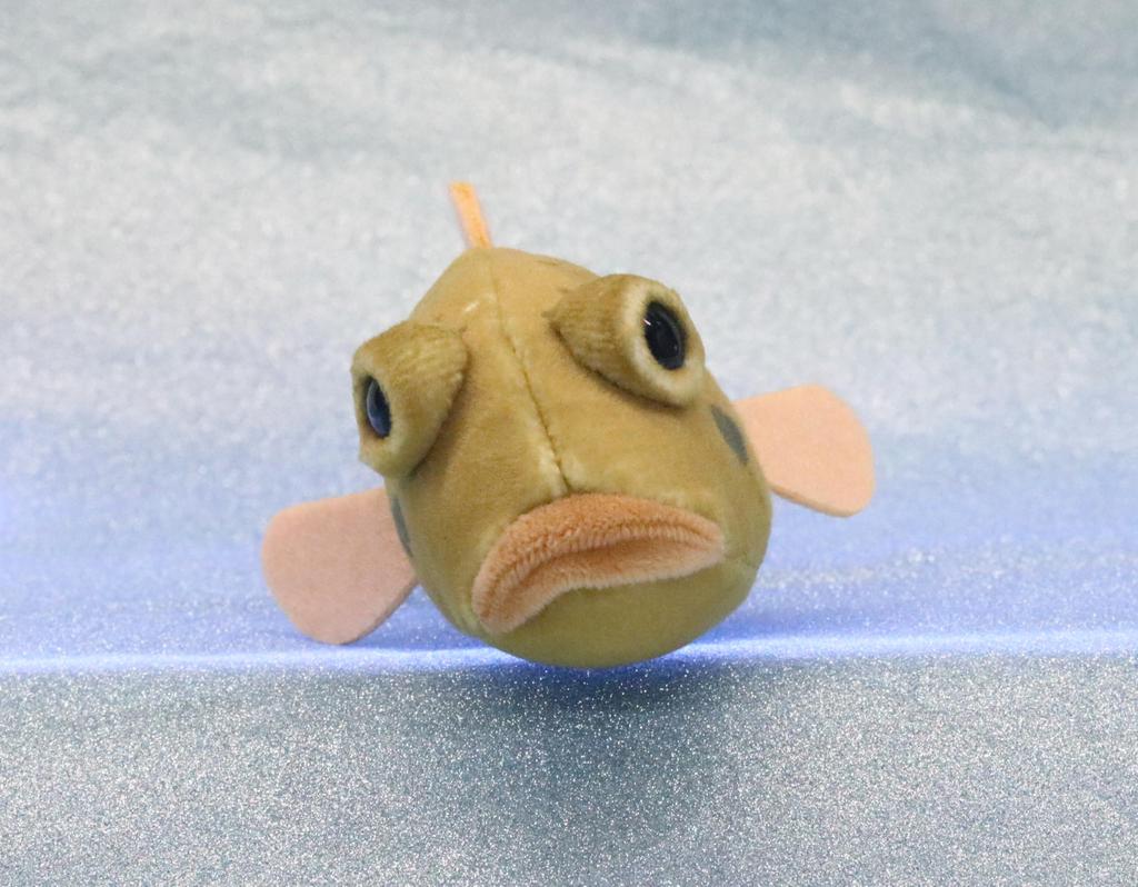 Take Off Pish - A Small, Colorful Fish Plush Toy That Makes a "beep" Sound When You Press Its Belly.