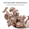 Guangwang Rongxin Deer Antler Mushrooms