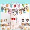 Charming Cat Birthday Party Decorations With Whimsical Banners And Fun Cake Inserts