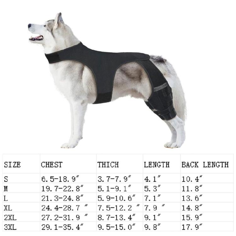 Dog Knee Brace Back Leg Joint Protectors Elastic Neoprene Leg Sleeve With Adjustable Belt For Elderly Dog Health Joint