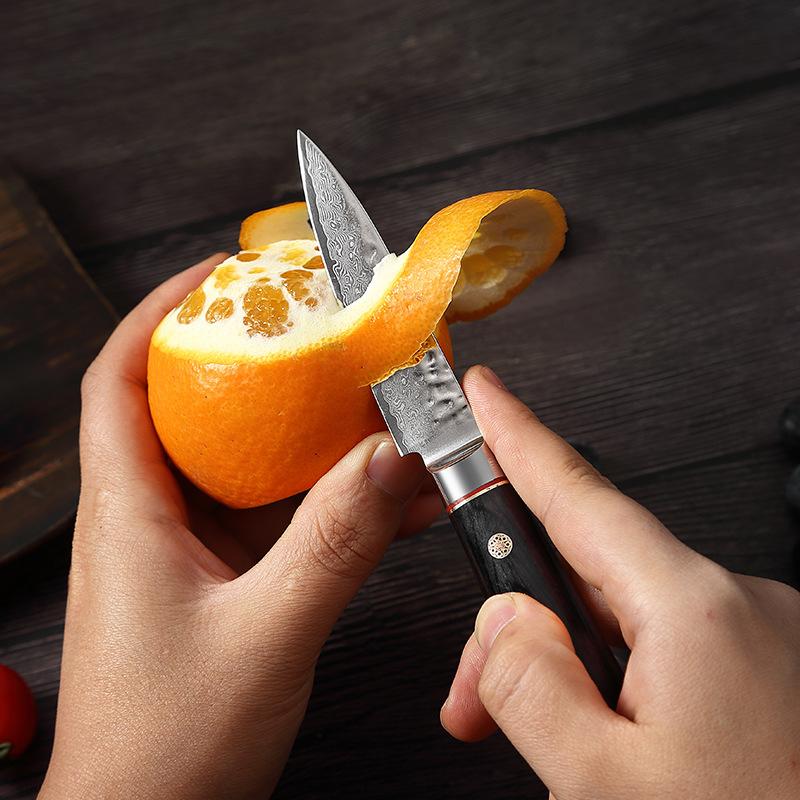 67Layers Damascus Steel Paring Knife 3.5-inch Household Kitchen Peeler Fruit Petty Vegetable Multifunctional Utility Knives