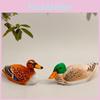 Woondecoratie – Beeldjes
