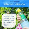 Atlas Pet Bottle Holder, Floral Pattern, Water Bottle Cooler, 2-Pack, 500ml/650ml, Vacuum