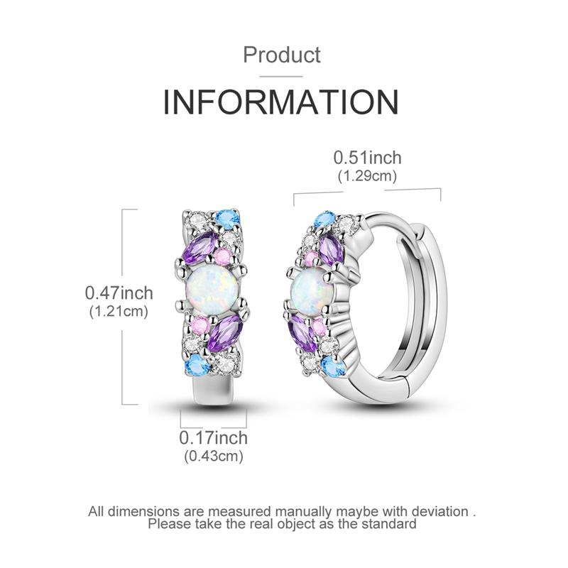 925 Sterling Silver Hoop Earrings Closely Set Purple Zircon Iris Butterfly Star Moon Cat Earrings for Women Fashion Jewelry Gift