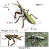 Oenux New Insect Animals Model Butterfly Bee Dragonfly Mantis Ant Snail Action Figures Jouet Collection Decor Kids Education Toy
