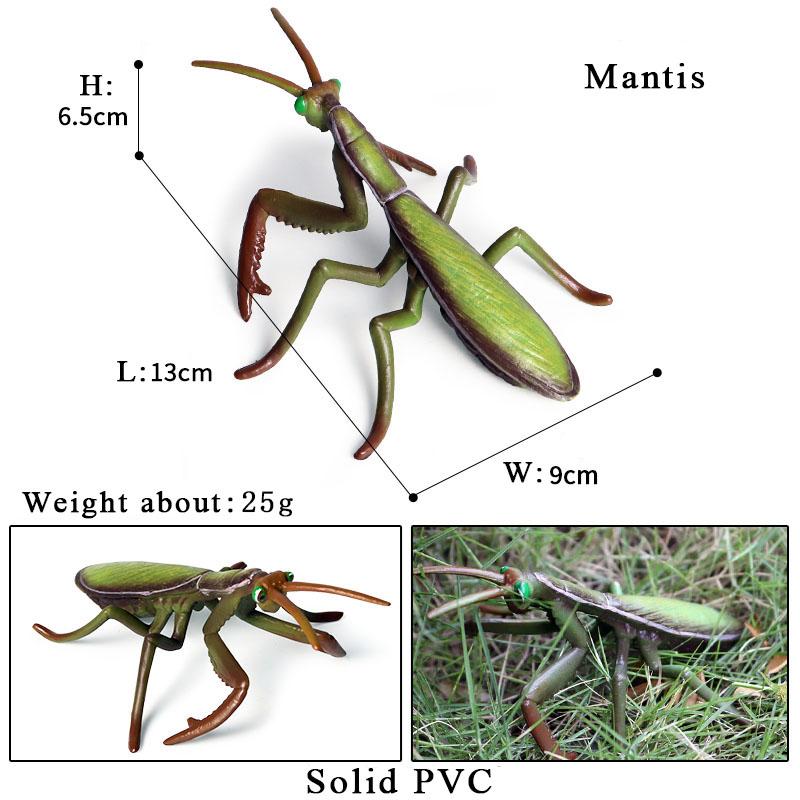 Oenux New Insect Animals Model Butterfly Bee Dragonfly Mantis Ant Snail Action Figures Jouet Collection Decor Kids Education Toy