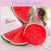 Watermelon Plush Cushion Toy For Kids With Soft Pp Cotton Stuffing Characters Included)