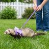 Adjustable Ferret Traction Harness Cartoon Pet Traction Rope Guinea Pig Chest Strap  Pet Supplies