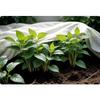 Plonos Agrotextile Cover 1000 Cm X 160 Cm - White