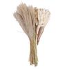 Boho Dried Flowers Bouquet Pampas Grass Dried Bunny Tail Grass Reed Grass Kit for Flower Arrangement Type 1