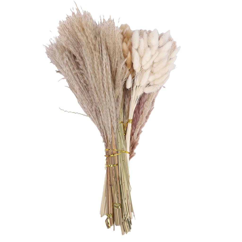 Boho Dried Flowers Bouquet Pampas Grass Dried Bunny Tail Grass Reed Grass Kit for Flower Arrangement Type 1