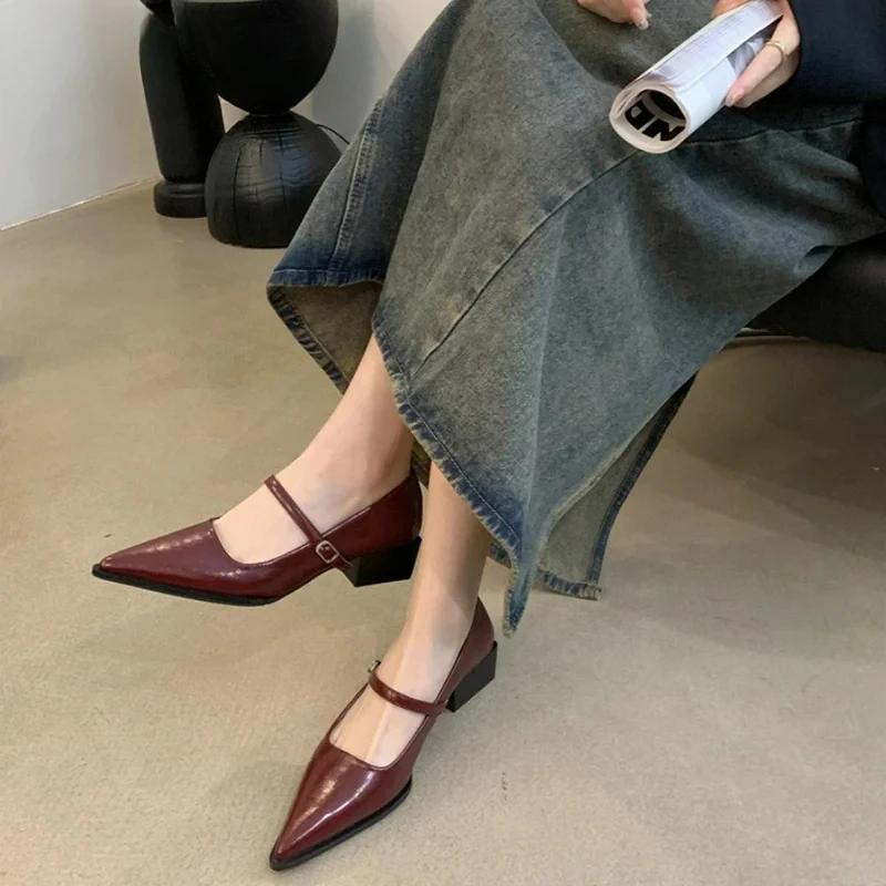 Retro Style Thick Heel Women Mary Jane Shoes Fashion Shallow Pointed Toe Ladies Comfort Office Pumps Footwear