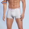 Dickies Men's Premium 10A Antibacterial Cotton Boxer Briefs