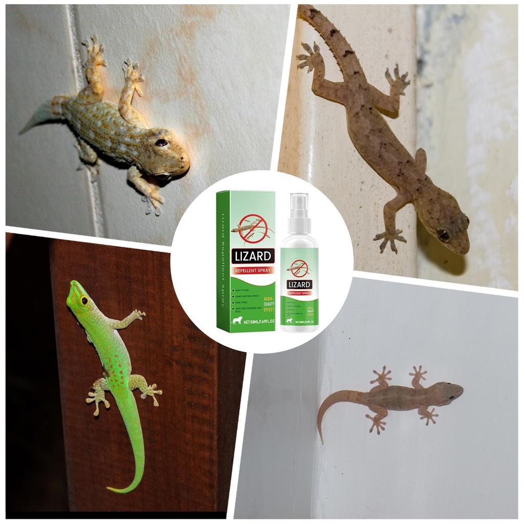 Spray Repellente per Lucertole Repellenti Naturali per Lucertole Olio di Lavanda Spray per Geco Sicuro per Animali Domestici Deterrenti per Rettili Controllo Respinge Repellente