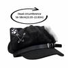 Cute Cat Ears Women's Beret Anime Cat Paw Pattern Newsboy Cap Sweet Japanese Style Baseball Cap Everyday Outfits