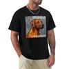 Rhodesian Ridgeback Portrait TShirt Basic Solid Color Short Sleeve TShirt