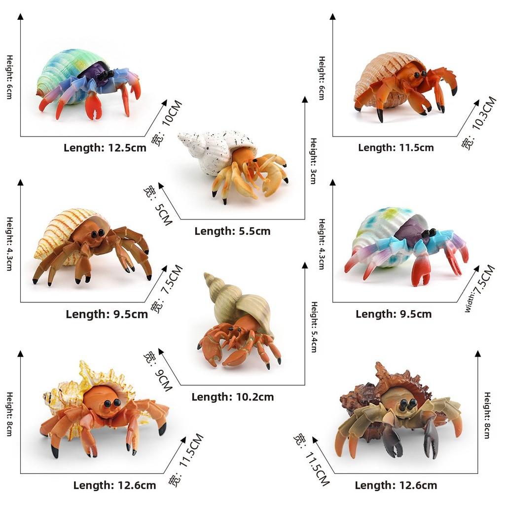 Simulation Marine Animal Pvc Hermit Crabs Sculpture For Kids Learning And Decorative Collection