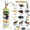 Frog Life Cycle Model Set: Tadpole to Frog Educational Toys for Kids