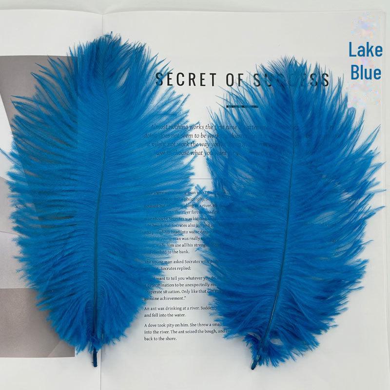 Barevné zavírače na dorty z pštrosího peří a příslušenství