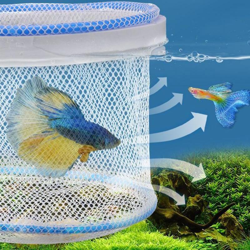 Aquarium Isolation Box Fish Hatchery Net Fish Tank Breeding Isolation Hatching Net Small Fry Breeding Box Fish Care Supplies