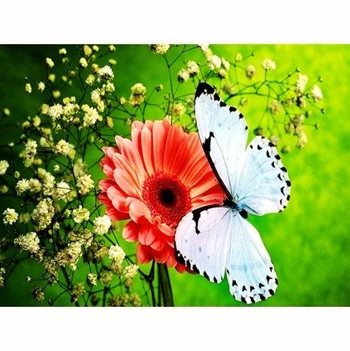 DIY 5D Full Diamond Embroidery Flower Diamond Mosaic Butterfly Diamond Painting Animal Rhinestones Pictures Display Gift Home