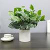 Nordic Artificial Green Plant Bonsai for Office or Home Decor - Small Indoor Potted Ornament