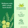 ORGANIC INDIA Amalaki Veg Capsules Natural Wellness Supplement For Daily Vitality And Energy Support With Antioxidant Benefits 60 Capsules