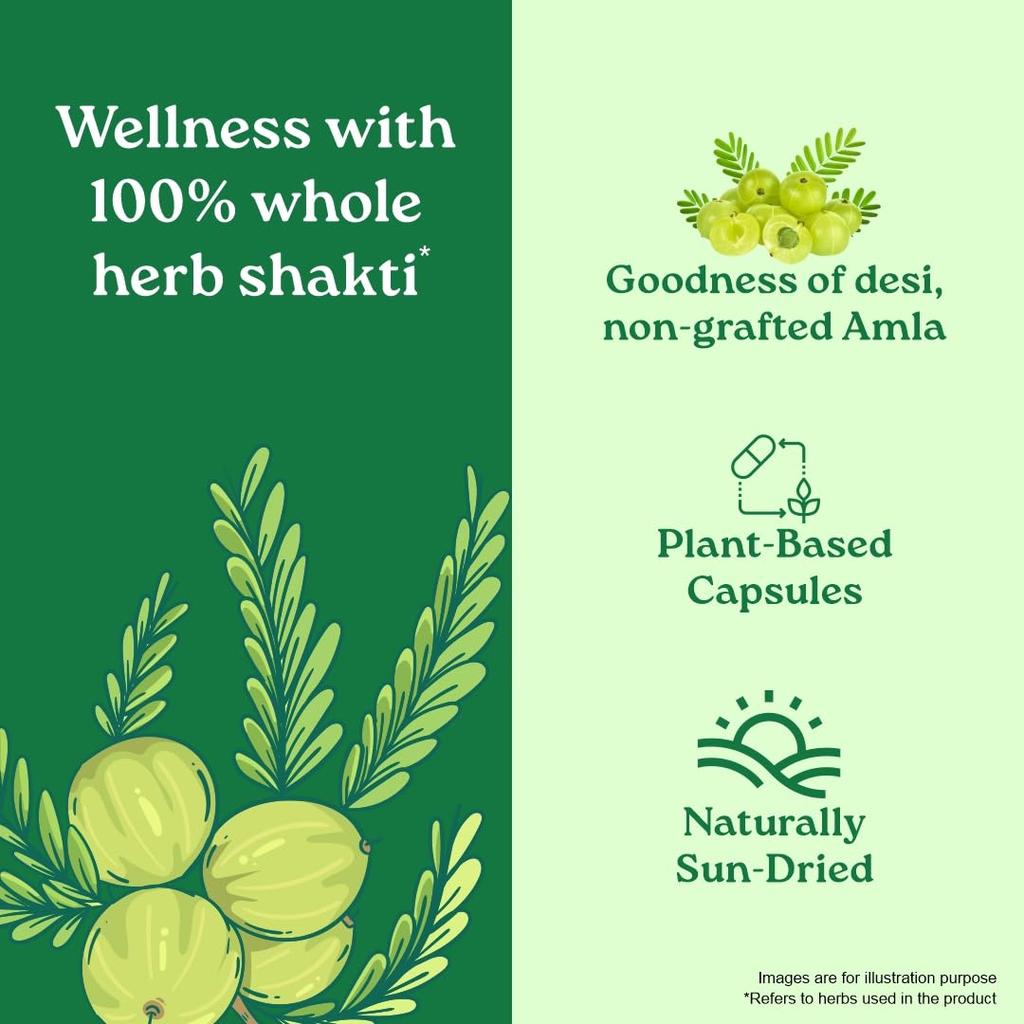 ORGANIC INDIA Amalaki Veg Capsules Natural Wellness Supplement For Daily Vitality And Energy Support With Antioxidant Benefits 60 Capsules