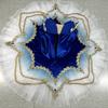 Blue White Gradient Pre-professional Ballet Tutu Dress Costume Girls Pancake Ballet Tutu Stage Dance Wear Dark Red BLST20110